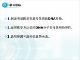 人教版 (新課標(biāo))高中生物必修2 3-4《基因是具有遺傳效應(yīng)的DNA片段》課件