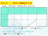 人教版 (新課標(biāo))高中生物必修2 3-4《基因是具有遺傳效應(yīng)的DNA片段》課件