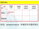 人教版 (新課標(biāo))高中生物必修2 3-4《基因是具有遺傳效應(yīng)的DNA片段》課件