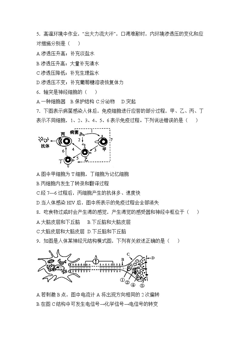 人教版 (新课标)高中生物必修3 第二章《动物和人体生命活动的调节》章末测试（二）无答案第2页