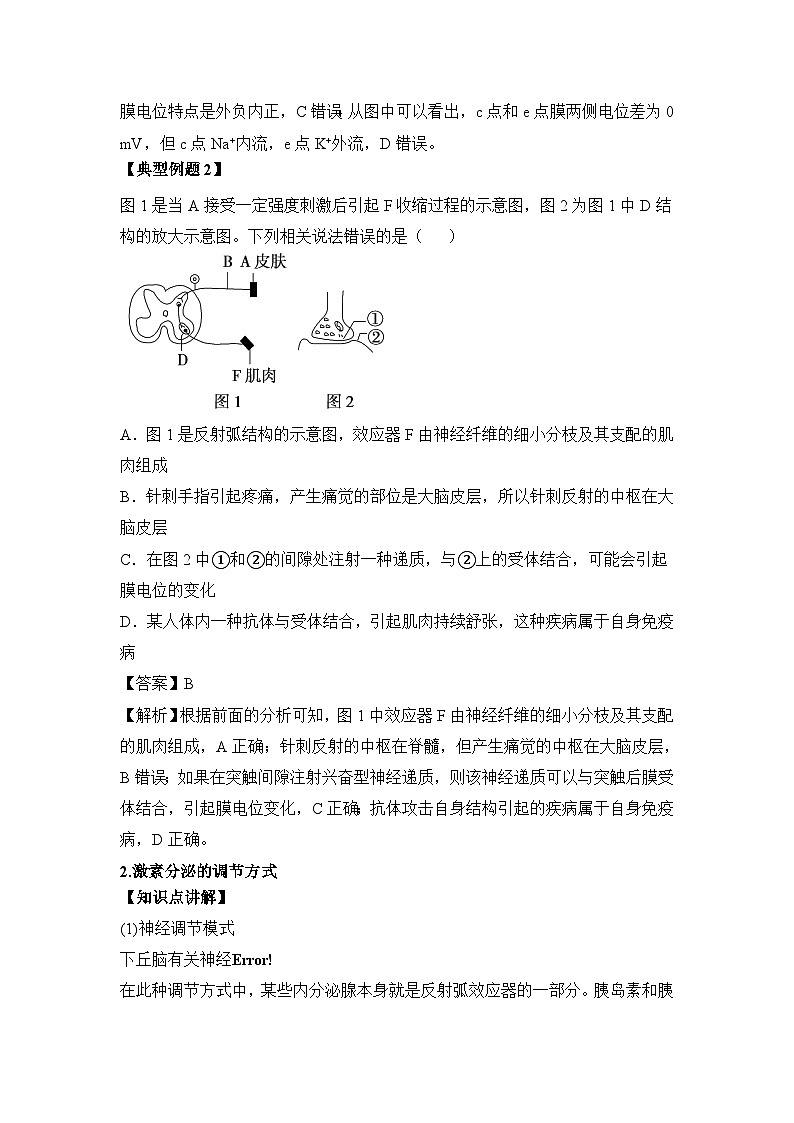 人教版 (新课标)高中生物必修3 第二章《动物和人体生命活动的调节》复习教案第3页
