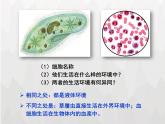人教版 (新課標)高中生物必修3 1-1《細胞生活的環(huán)境》課件