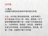 人教版 (新課標)高中生物必修3 1-1《細胞生活的環(huán)境》課件