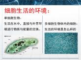 人教版 (新課標(biāo))高中生物必修3 1-1《細(xì)胞生活的環(huán)境》課件