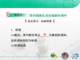 人教版 (新課標(biāo))高中生物必修3 1-1《細(xì)胞生活的環(huán)境》復(fù)習(xí)課件