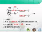 人教版 (新課標(biāo))高中生物必修3 1-1《細(xì)胞生活的環(huán)境》復(fù)習(xí)課件