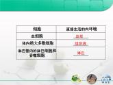人教版 (新課標(biāo))高中生物必修3 1-1《細(xì)胞生活的環(huán)境》復(fù)習(xí)課件
