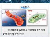 人教版 (新課標(biāo))高中生物必修3 1-1《細(xì)胞生活的環(huán)境》課件