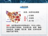 人教版 (新課標(biāo))高中生物必修3 1-1《細(xì)胞生活的環(huán)境》課件
