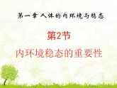 人教版 (新課標(biāo))高中生物必修3 1-2《內(nèi)環(huán)境穩(wěn)態(tài)的重要性》課件