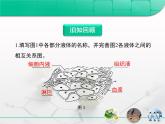 人教版 (新課標(biāo))高中生物必修3 1-2《內(nèi)環(huán)境穩(wěn)態(tài)的重要性》課件