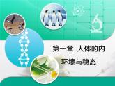人教版 (新課標(biāo))高中生物必修3 第一章《人體的內(nèi)環(huán)境和穩(wěn)態(tài)》歸納整合復(fù)習(xí)課件