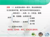 人教版 (新課標(biāo))高中生物必修3 第一章《人體的內(nèi)環(huán)境和穩(wěn)態(tài)》歸納整合復(fù)習(xí)課件