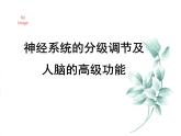 人教版 (新課標(biāo))高中生物必修3 2-1《通過神經(jīng)系統(tǒng)的調(diào)節(jié)（第2課時(shí)）》課件
