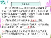人教版 (新課標(biāo))高中生物必修3 2-1《通過神經(jīng)系統(tǒng)的調(diào)節(jié)（第2課時(shí)）》課件