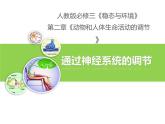 人教版 (新課標(biāo))高中生物必修3 2-1《通過神經(jīng)系統(tǒng)的調(diào)節(jié)（第1課時(shí)）》課件