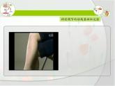 人教版 (新課標(biāo))高中生物必修3 2-1《通過神經(jīng)系統(tǒng)的調(diào)節(jié)（第1課時(shí)）》課件