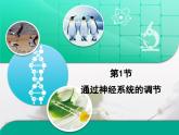 人教版 (新課標(biāo))高中生物必修3 2-1《通過神經(jīng)系統(tǒng)的調(diào)節(jié)》復(fù)習(xí)課件