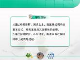 人教版 (新課標(biāo))高中生物必修3 2-1《通過神經(jīng)系統(tǒng)的調(diào)節(jié)》復(fù)習(xí)課件