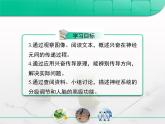 人教版 (新課標(biāo))高中生物必修3 2-1《通過神經(jīng)系統(tǒng)的調(diào)節(jié)》復(fù)習(xí)課件
