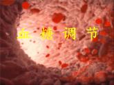 人教版 (新課標)高中生物必修3 2-2《通過激素的調節(jié)（第2課時）》課件