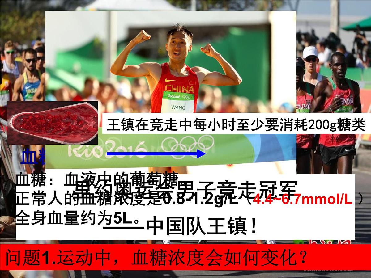 人教版 (新课标)高中生物必修3 2-2《通过激素的调节（第2课时）》课件第5页