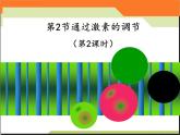 人教版 (新課標)高中生物必修3 2-2《通過激素的調節(jié)（第2課時）》課件