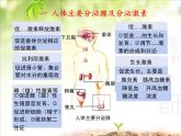 人教版 (新課標)高中生物必修3 2-2《通過激素的調節(jié)（第2課時）》課件