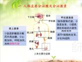 人教版 (新課標)高中生物必修3 2-2《通過激素的調節(jié)（第2課時）》課件