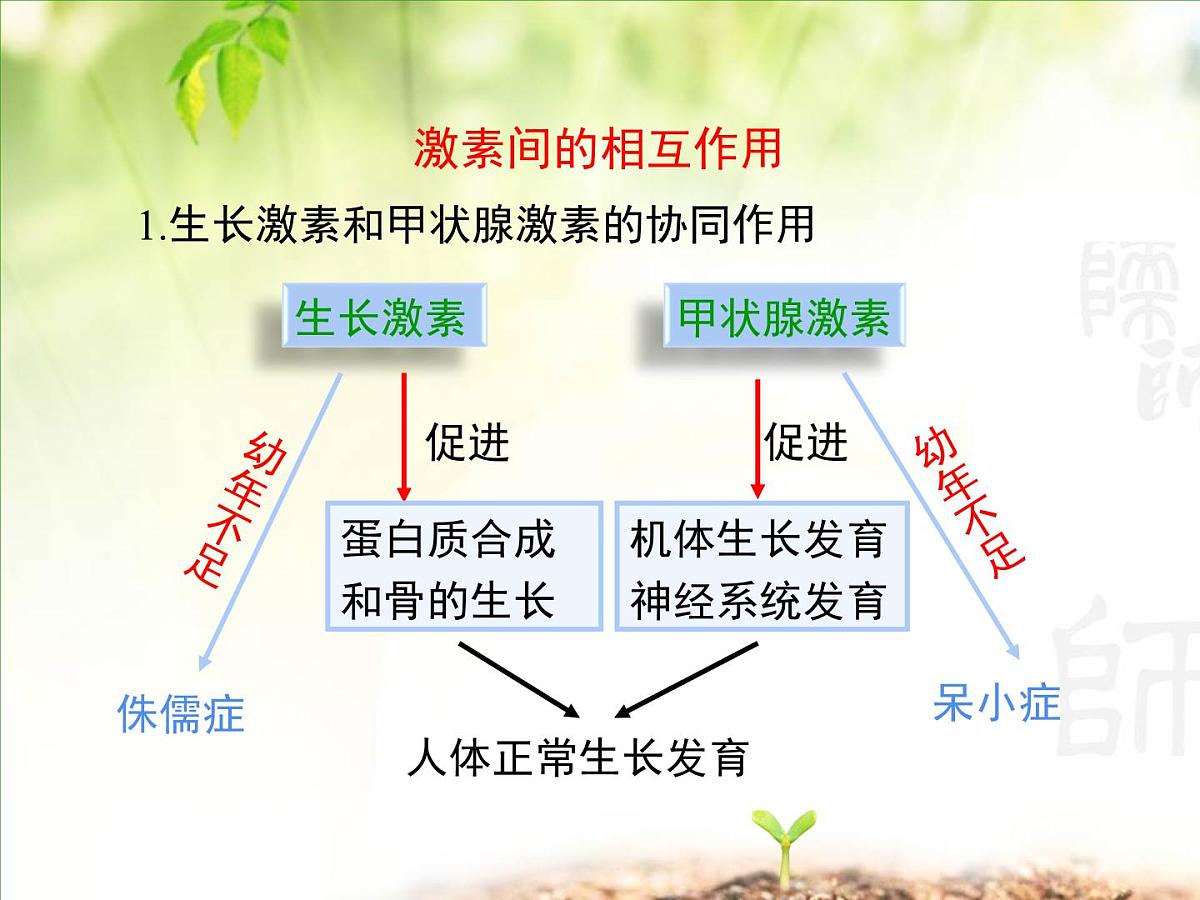 人教版 (新课标)高中生物必修3 2-2《通过激素的调节（第2课时）》课件第7页