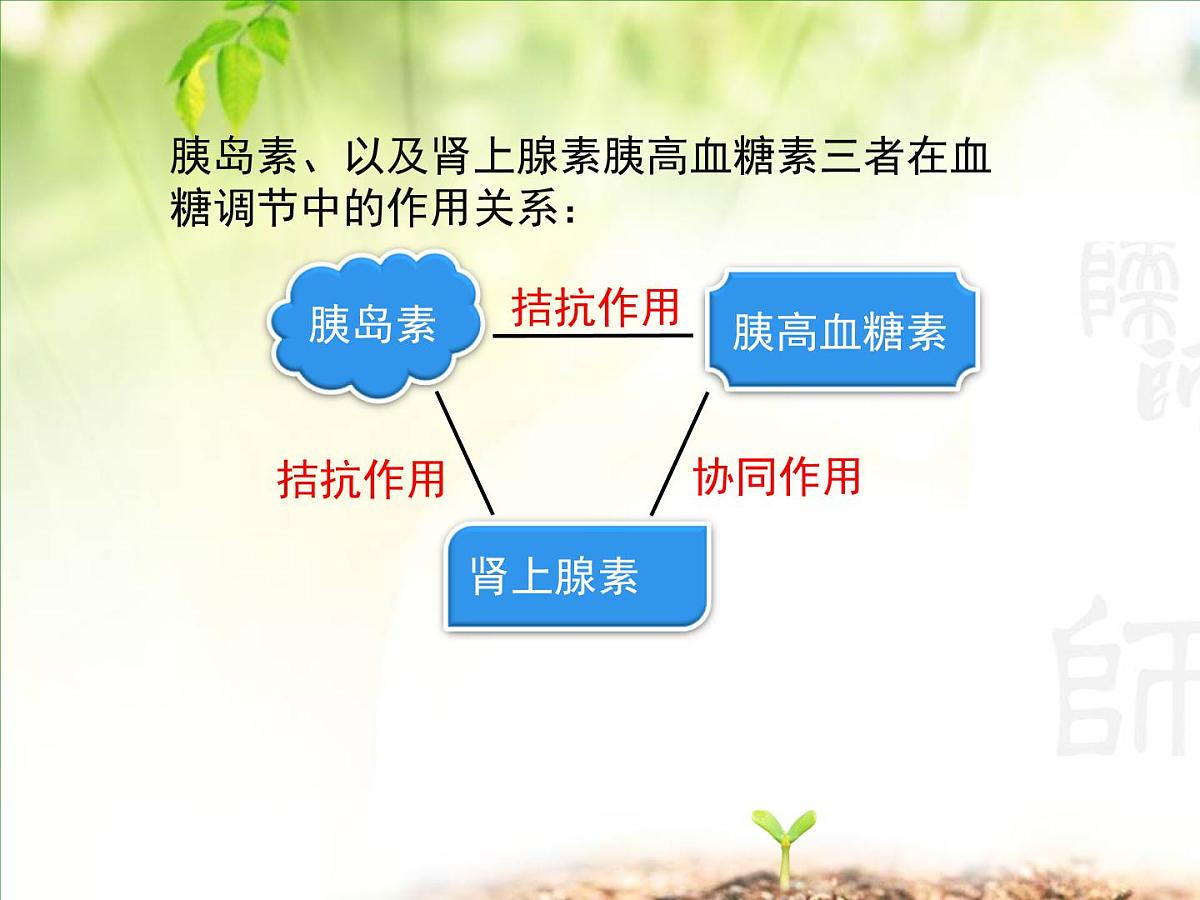 人教版 (新课标)高中生物必修3 2-2《通过激素的调节（第2课时）》课件第8页