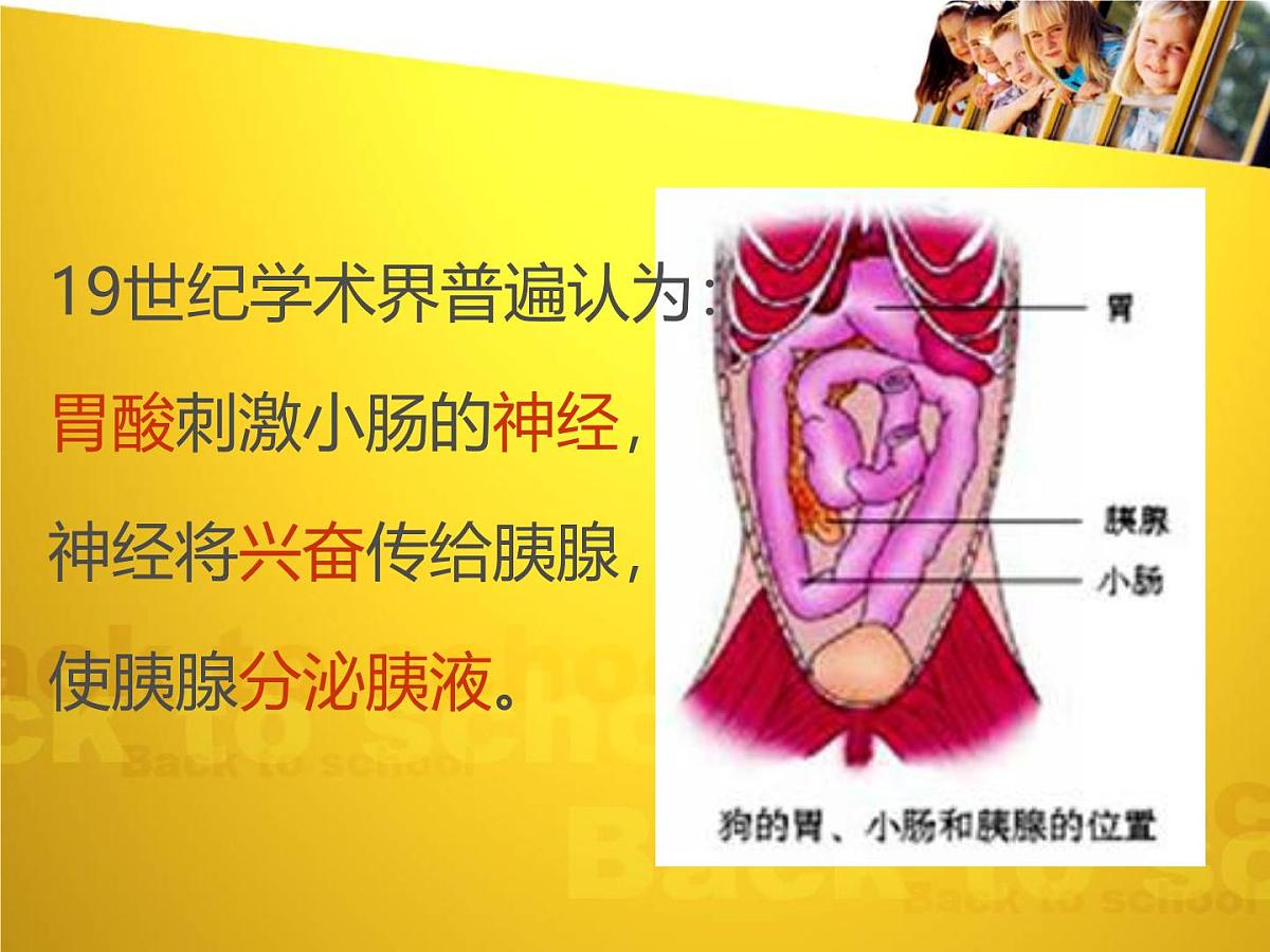 人教版 (新课标)高中生物必修3 2-2《通过激素的调节（第1课时）》课件第3页