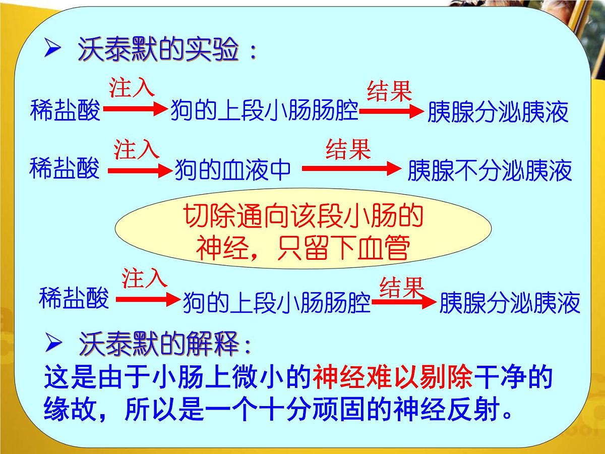 人教版 (新课标)高中生物必修3 2-2《通过激素的调节（第1课时）》课件第4页