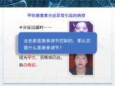 人教版 (新課標)高中生物必修3 2-2《通過激素的調節(jié)》課件