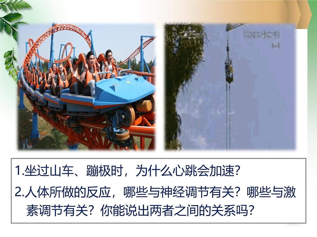 人教版 (新课标)高中生物必修3 2-3《神经调节与体液调节的关系》课件第1页