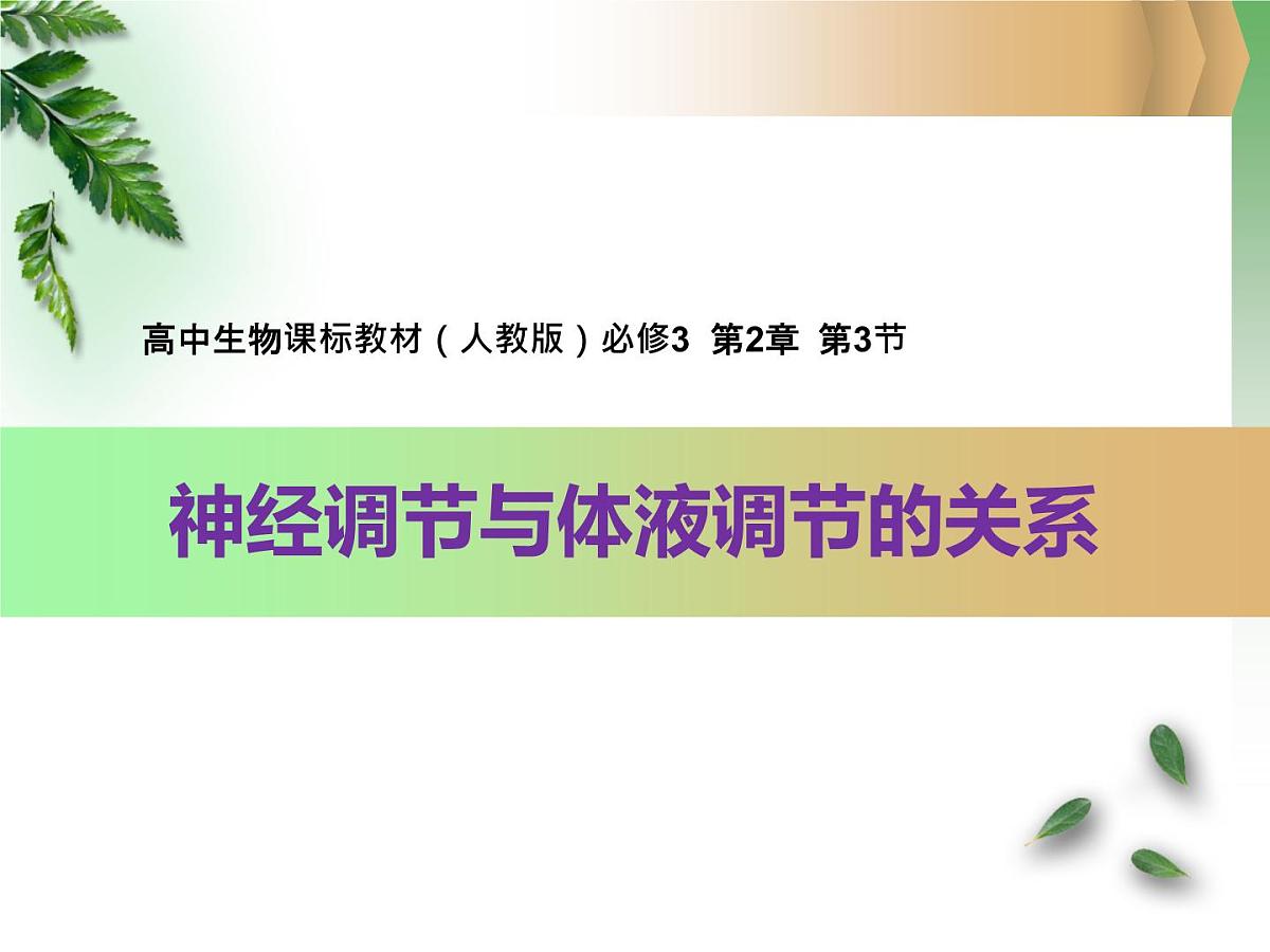 人教版 (新课标)高中生物必修3 2-3《神经调节与体液调节的关系》课件第2页