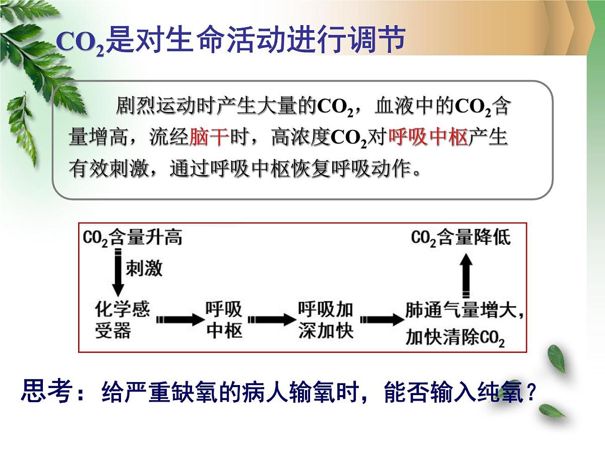 人教版 (新课标)高中生物必修3 2-3《神经调节与体液调节的关系》课件第4页