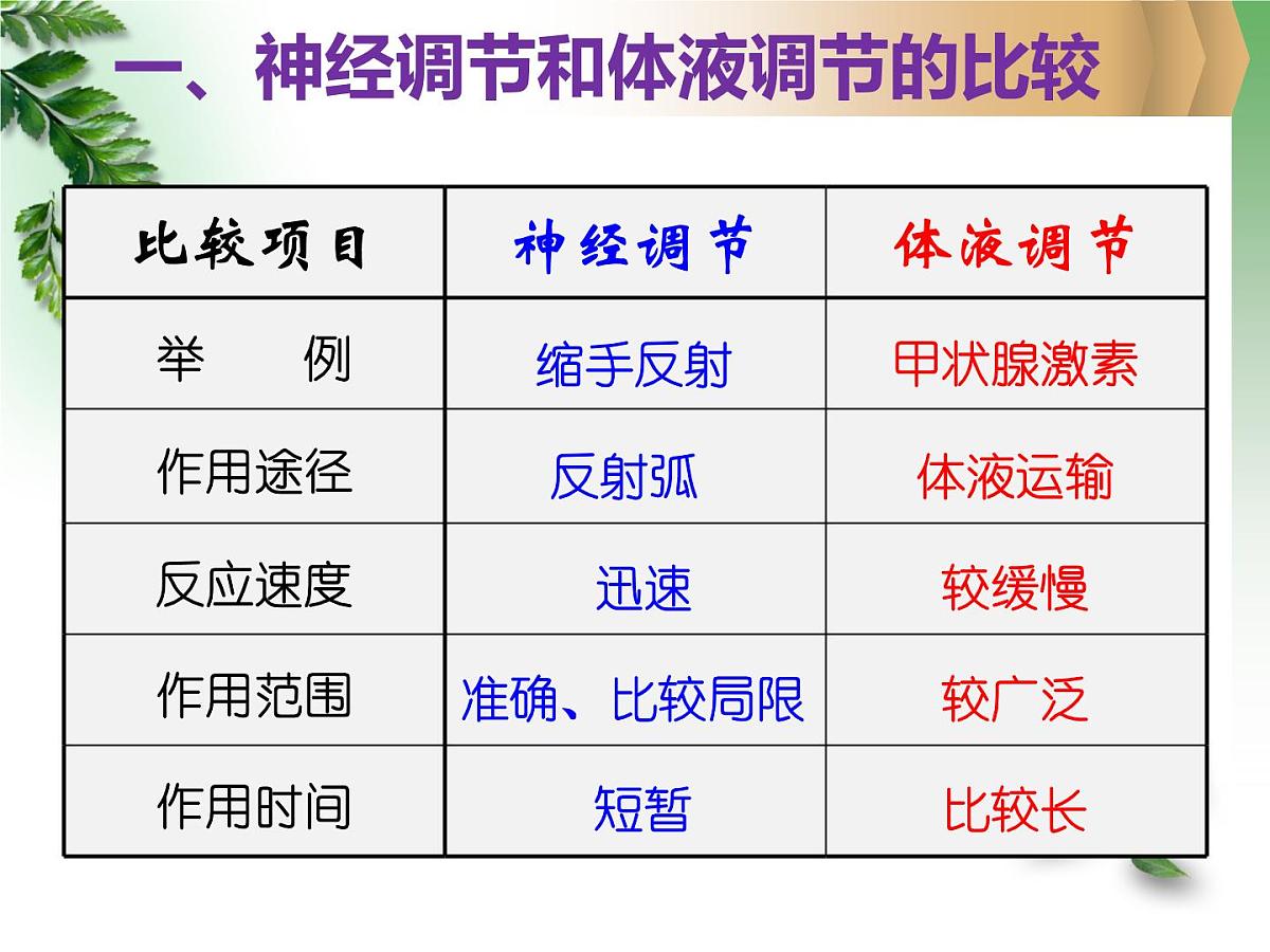 人教版 (新课标)高中生物必修3 2-3《神经调节与体液调节的关系》课件第6页