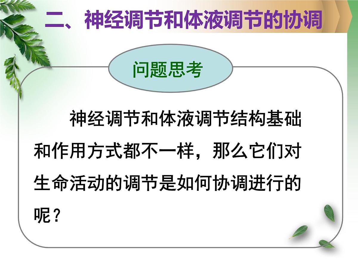 人教版 (新课标)高中生物必修3 2-3《神经调节与体液调节的关系》课件第7页