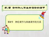 人教版 (新課標)高中生物必修3 2-3《神經調節(jié)和體液調節(jié)的關系》課件