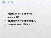 人教版 (新課標)高中生物必修3 2-3《神經調節(jié)和體液調節(jié)的關系》課件