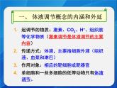 人教版 (新課標)高中生物必修3 2-3《神經調節(jié)和體液調節(jié)的關系》課件
