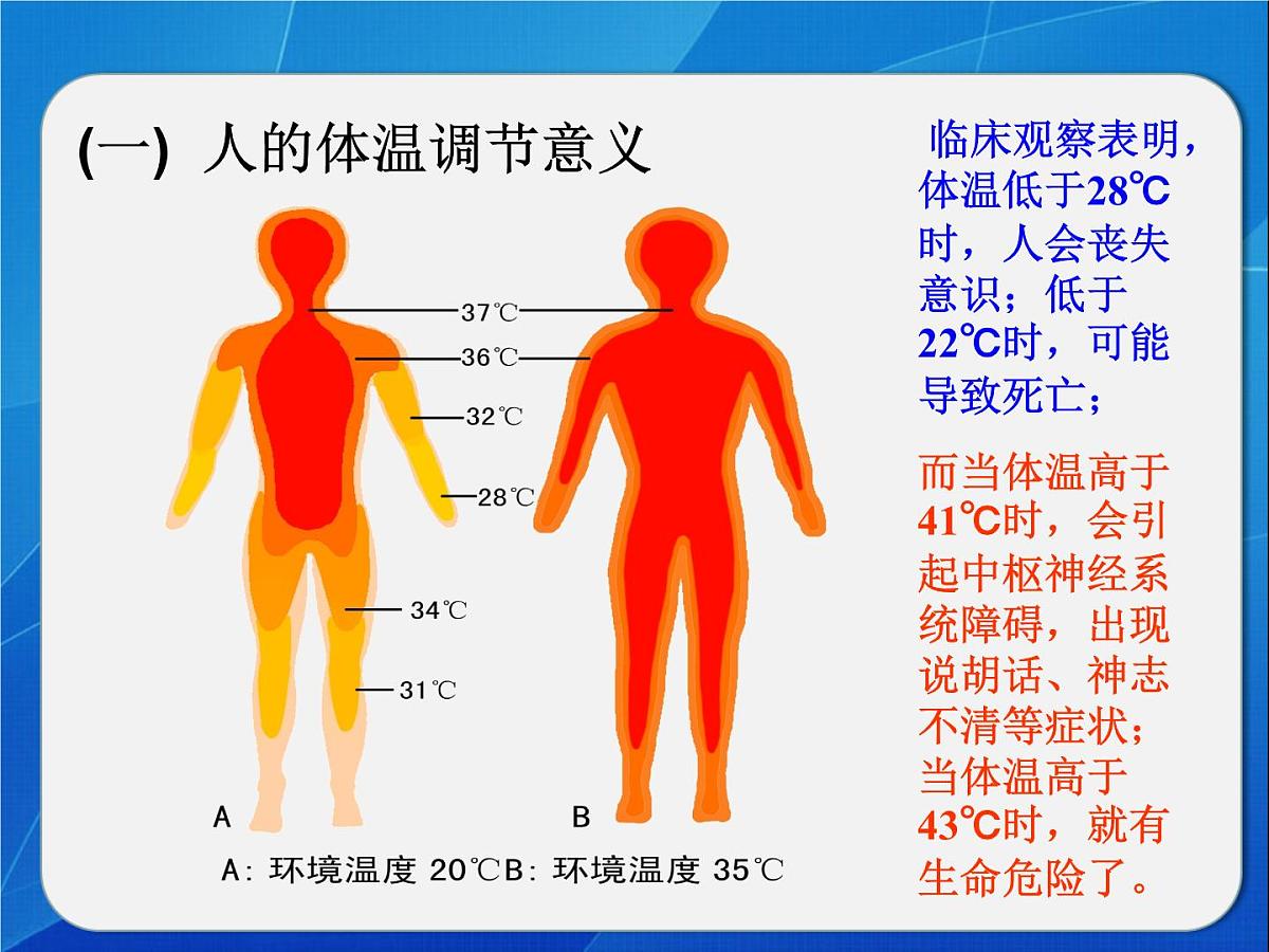 人教版 (新课标)高中生物必修3 2-3《神经调节和体液调节的关系》课件第7页