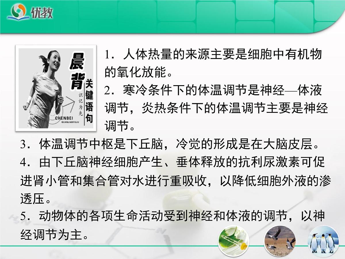 人教版 (新课标)高中生物必修3 2-3《神经调节与体液调节的关系》复习课件第2页