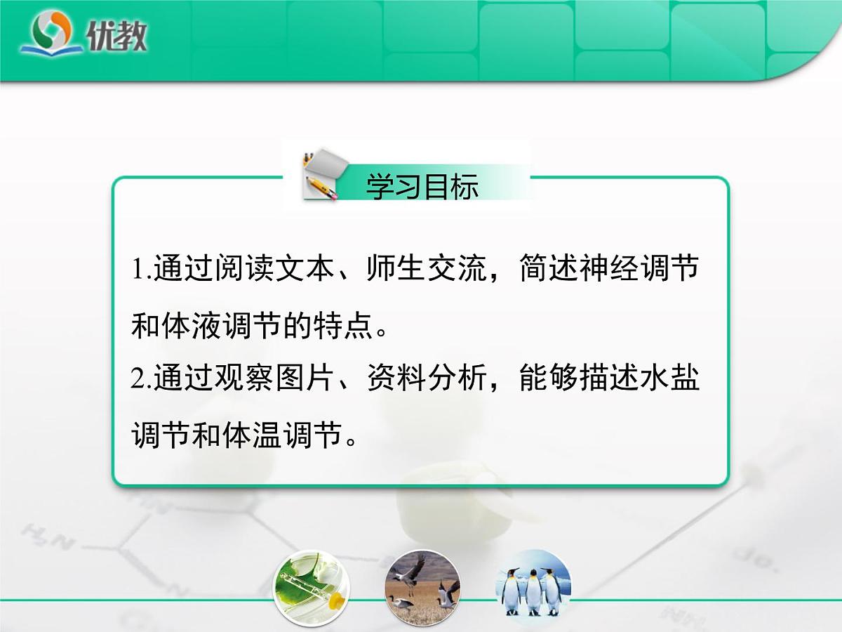 人教版 (新课标)高中生物必修3 2-3《神经调节与体液调节的关系》复习课件第3页