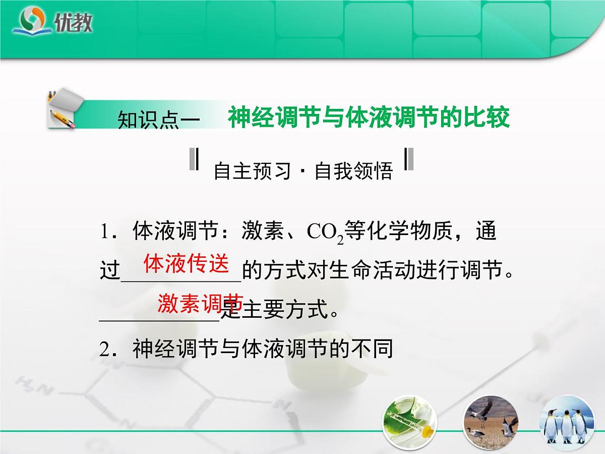 人教版 (新课标)高中生物必修3 2-3《神经调节与体液调节的关系》复习课件第5页