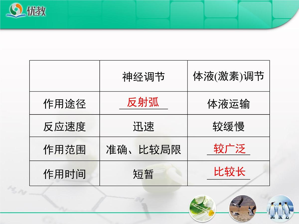 人教版 (新课标)高中生物必修3 2-3《神经调节与体液调节的关系》复习课件第6页