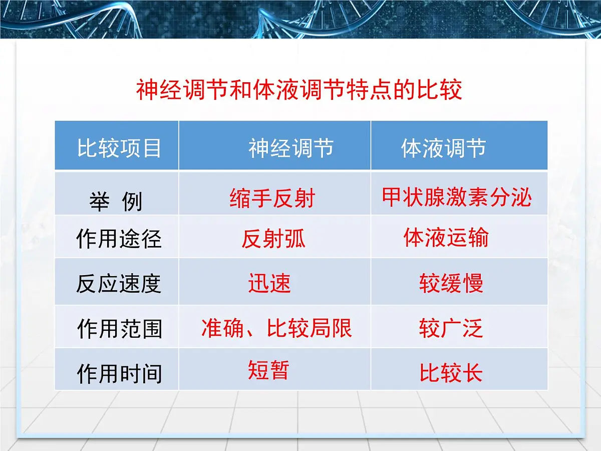 人教版 (新课标)高中生物必修3 2-3《神经调节与体液调节的关系》课件第8页
