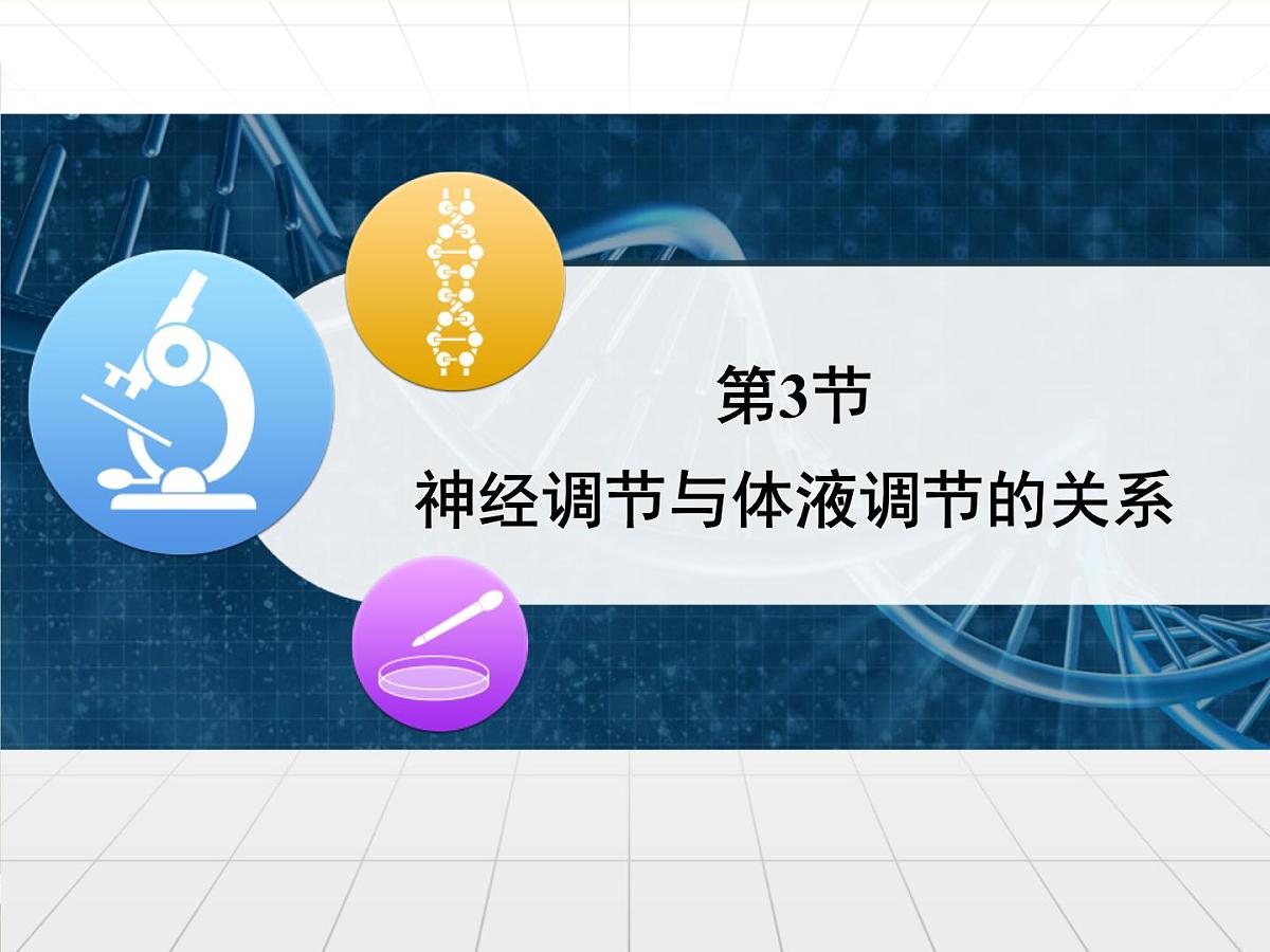 人教版 (新课标)高中生物必修3 2-3《神经调节与体液调节的关系》课件第1页