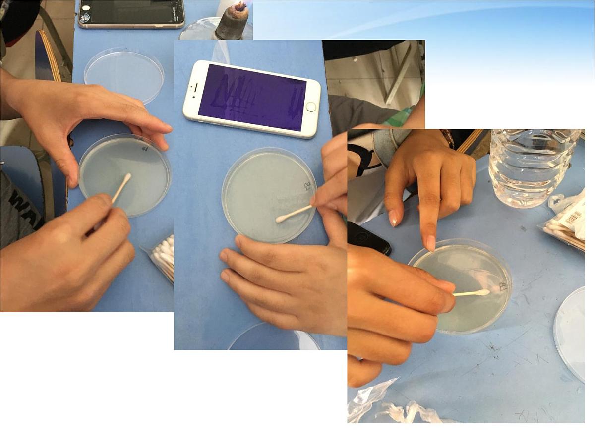 人教版 (新课标)高中生物必修3 2-4《免疫调节（第1课时）》课件第3页